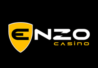 Enzo logo