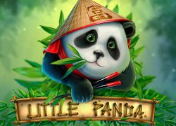 Little Panda