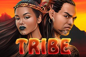 Tribe machine a sous