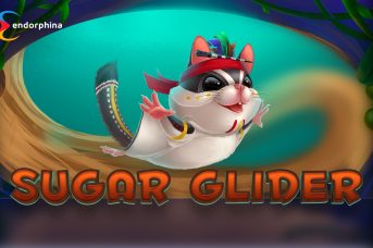 Sugar Glider