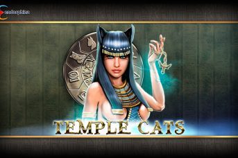 Temple Cats