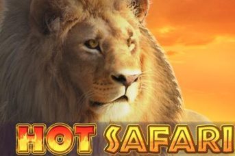 Hot Safari