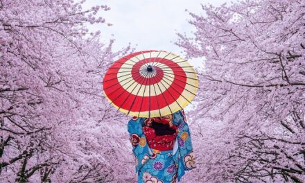 De nouvelles dispositions pour les futurs complexes intégrés du Japon