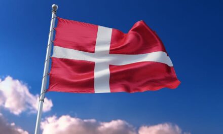 Reel Denmark Limited réprimandé par le régulateur danois