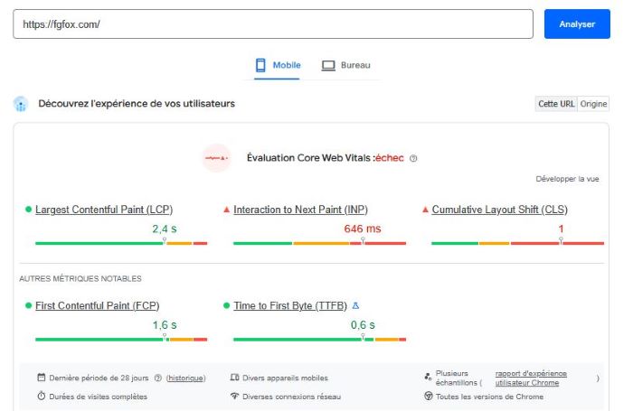 Resultat des tests de FGFox Casino sur PageSpeed Insight de Google
