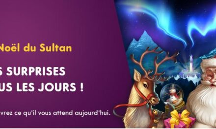 D’incroyables bonus noël sur Wild Sultan