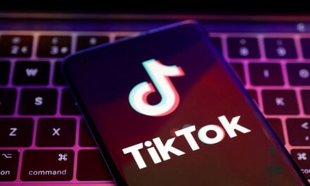 TikTok s’attire les foudres des internautes