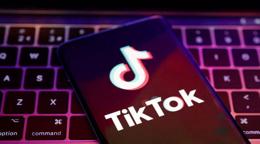 TikTok s’attire les foudres des internautes