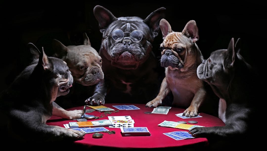 6 types de joueurs que vous rencontrerez au casino
