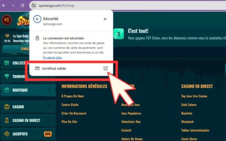 Certificat SSL de Spinanga Casino