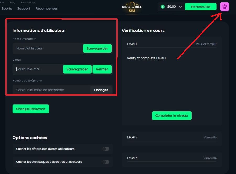 Complétion profile Gamdom Casino
