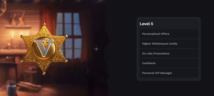 Niveau du programme de fidélité sur Wildsino Casino