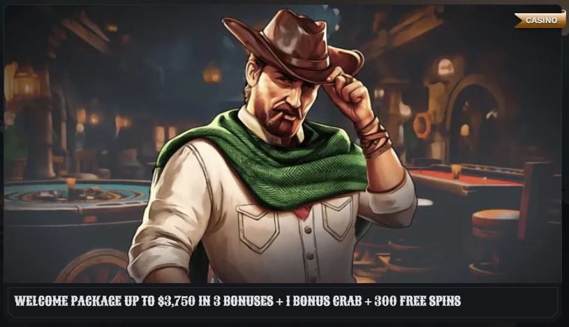 Bonus de bienvenue de Wildsino Casino, détaillant sont offre de 225% et 300 Free Spins