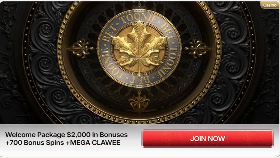 Tooniebet Casino bonus bienvenue