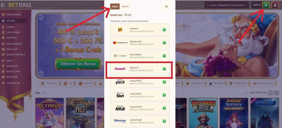 Dépot Neosurf logo_Bethall casino en ligne