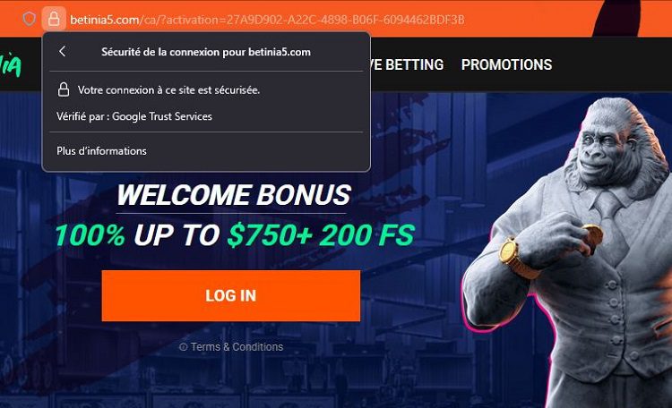 Confirmation d'une connexion sécurisée sur Betinia