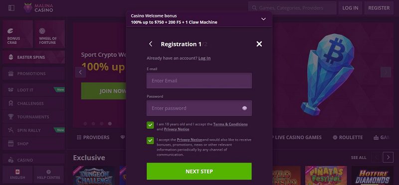 Comment s'inscrire sur Malina Casino : étape 3 du tutoriel