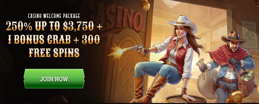 wildsino bonus de bienvenue