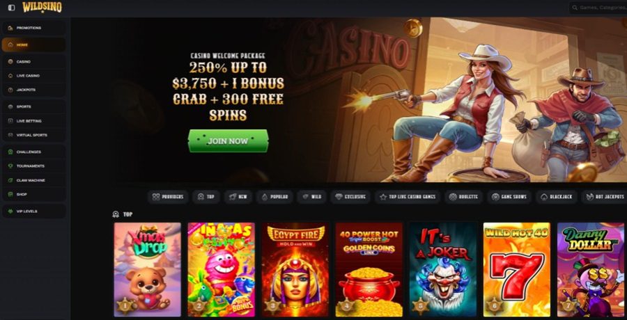 Wildsino Casino bonus de bienvenue